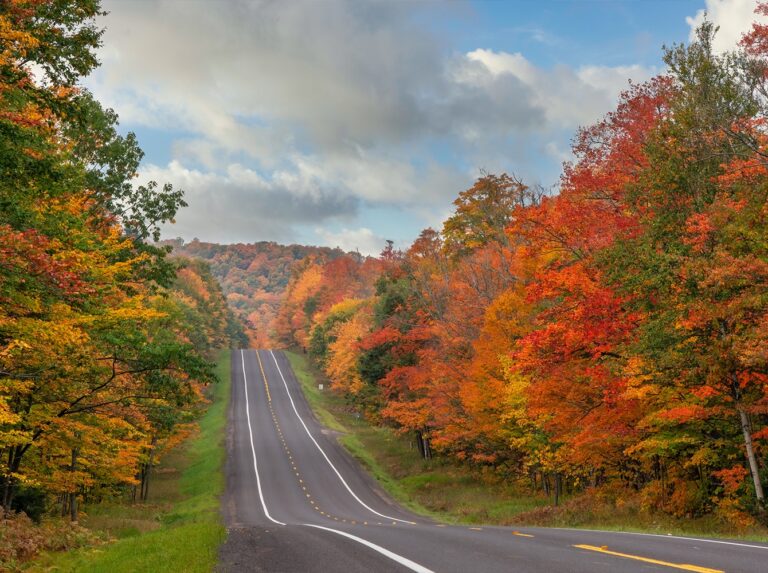 Road with autumn trees on sides